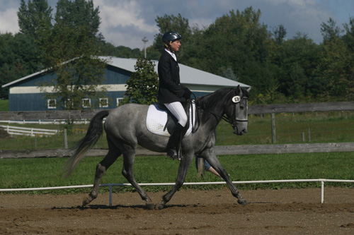 Natural Horsemanship trainer Stephanie Lockhart riding Colonial Spanish horse Morado at a dressage show.