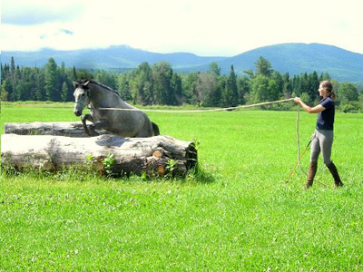 Stephanie Lockhart with her Colonial Spanish horse Morado doing Natural horsemanship in Vermont