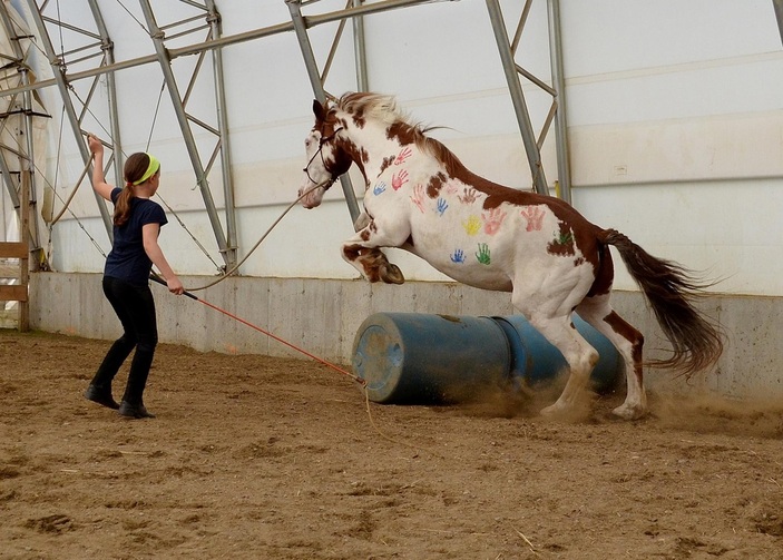 Children with Horses