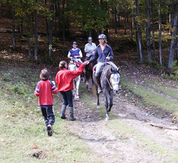 Trail riding