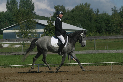 Dressage Competition