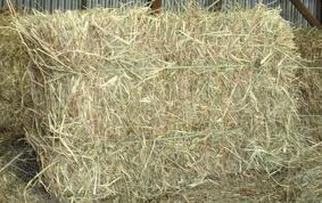 Hay Bale