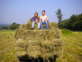 Hauling hay
