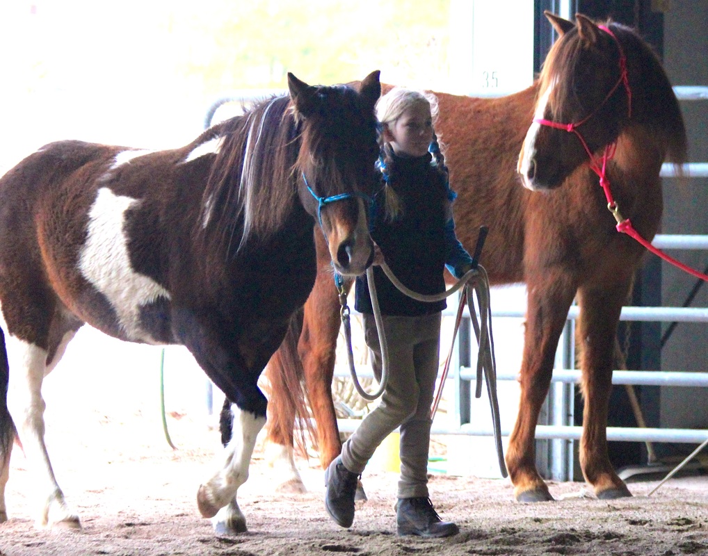 Equestrian Equestrian