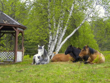 Resting